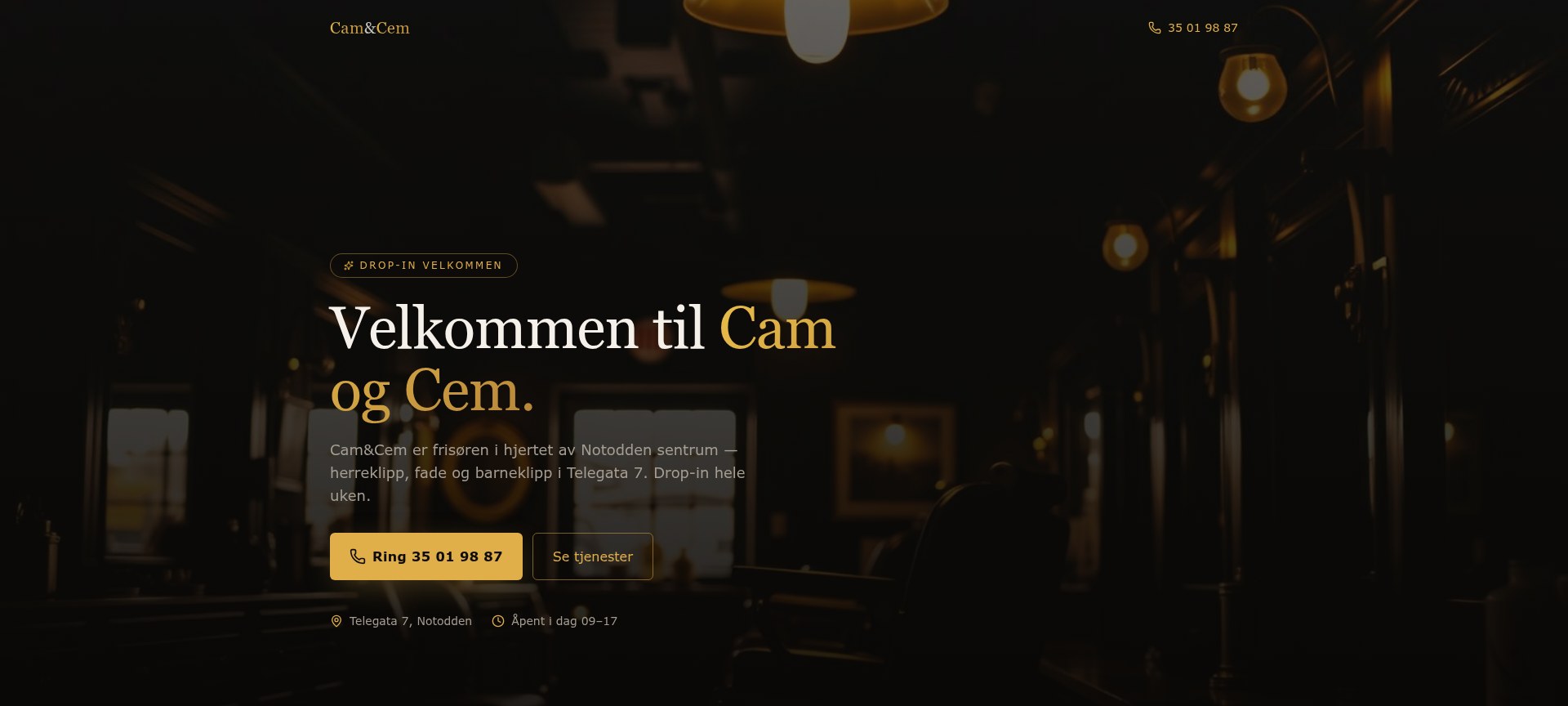 Forsiden av nettsiden til Cam og Cem